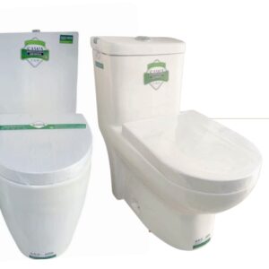 Designer One-Piece Toilet Suite - Rynarhardware