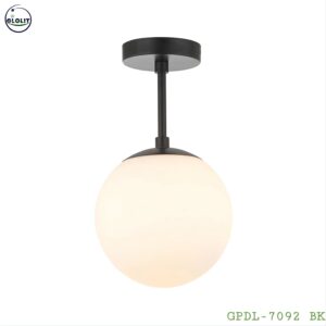 Frosted Globe Ceiling Lamp GPDL-7092 (Black) - Rynarhardware